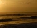 Ocean Surf and Surfers Website